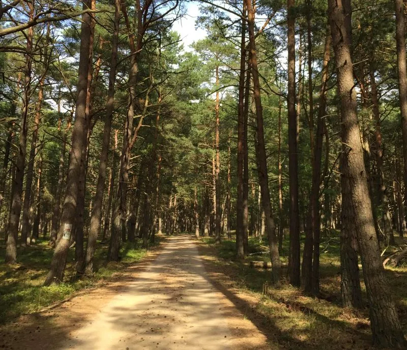 Domek blisko plaży w Rowach